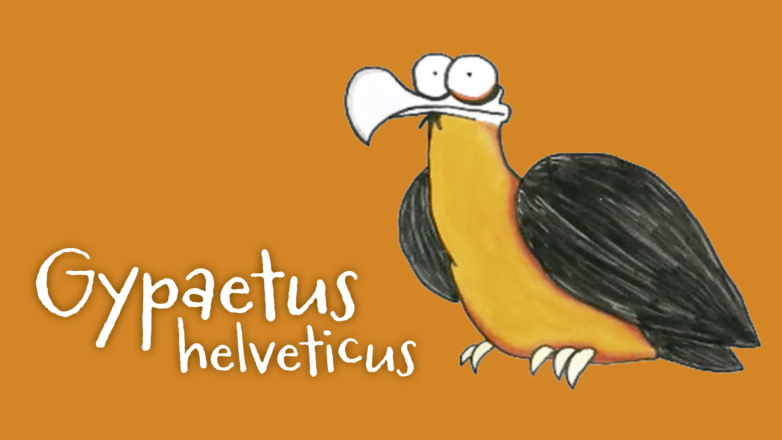 Gypaetus Helveticus