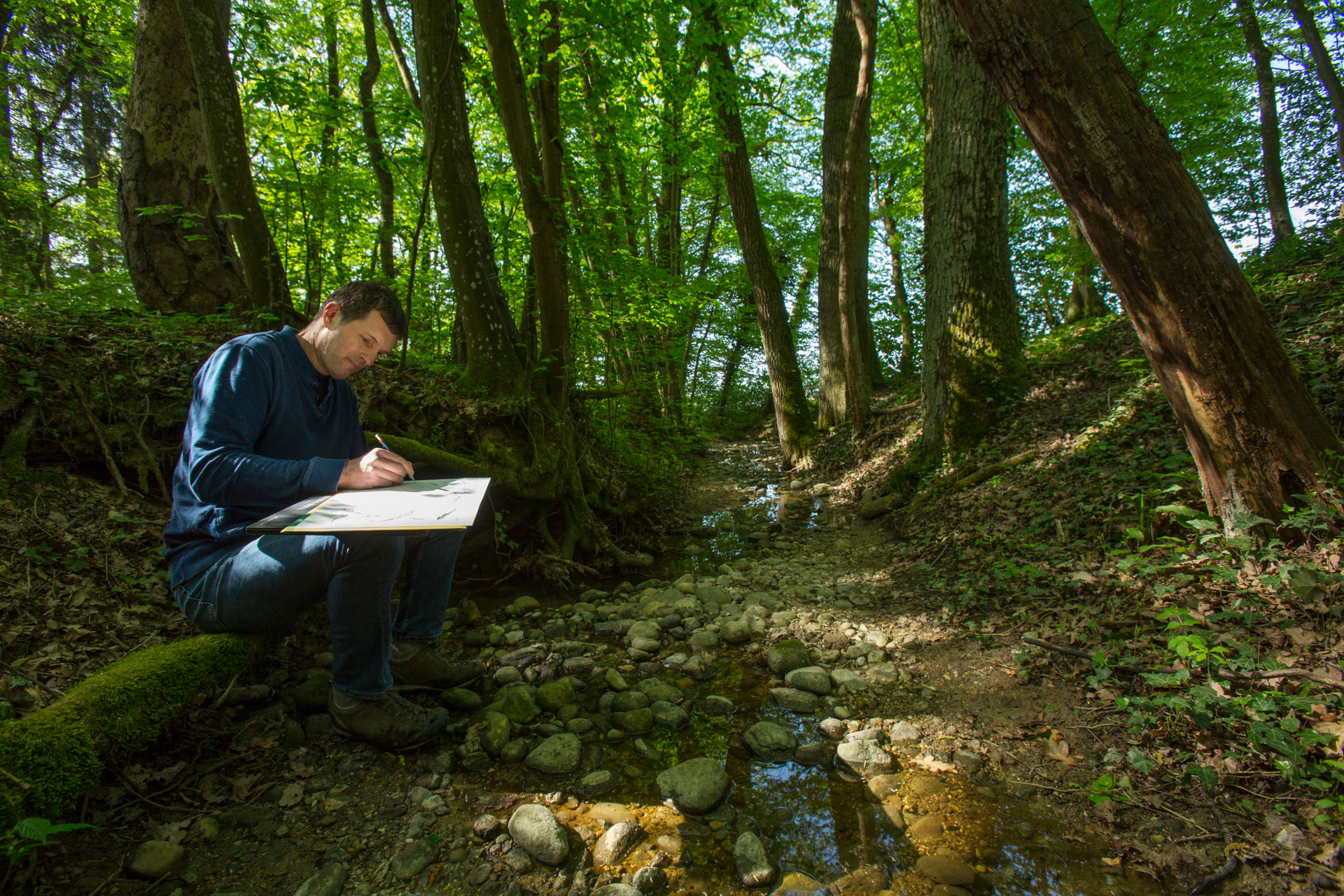 Dessinateurs par nature - Benoit Perrotin