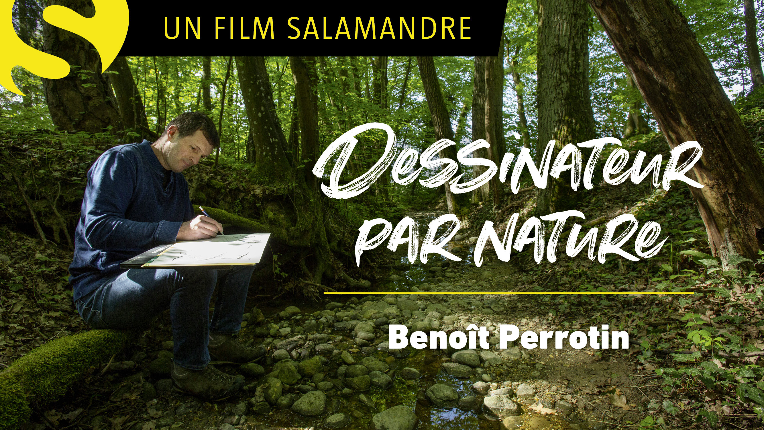 Dessinateurs par nature - Benoit Perrotin