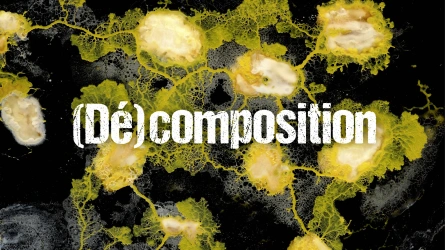 (Dé)composition