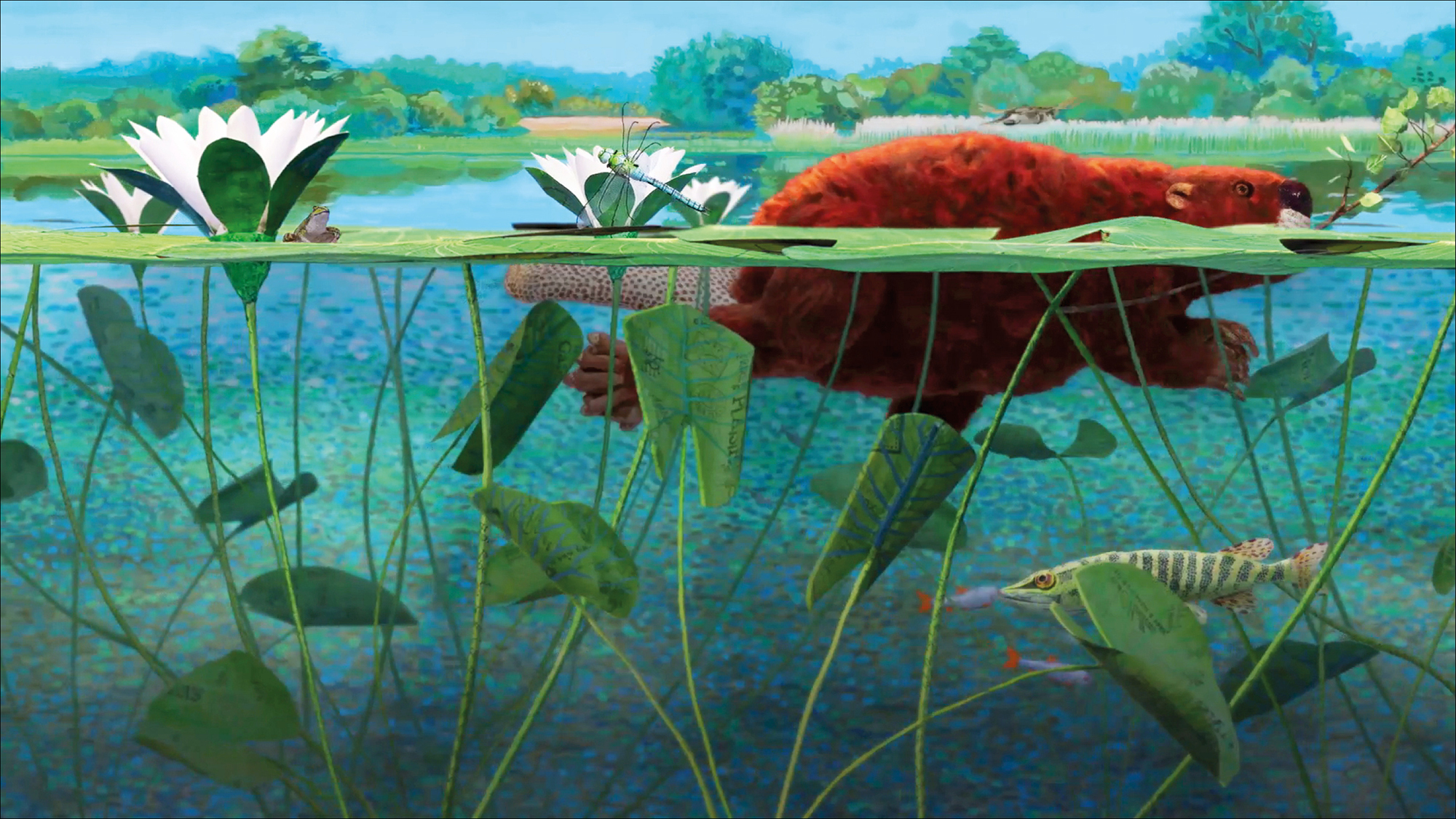 Bonjour le monde - Le castor