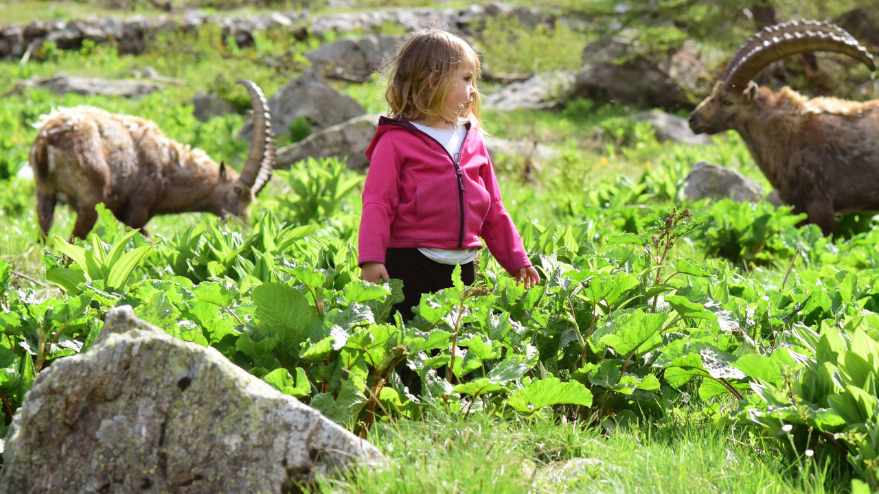 Naïs au pays des loups