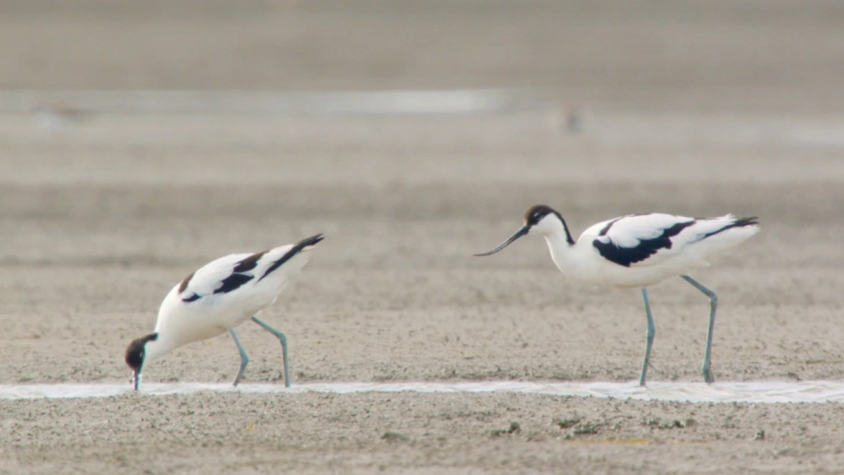 Paysages d’Europe - Episode 2