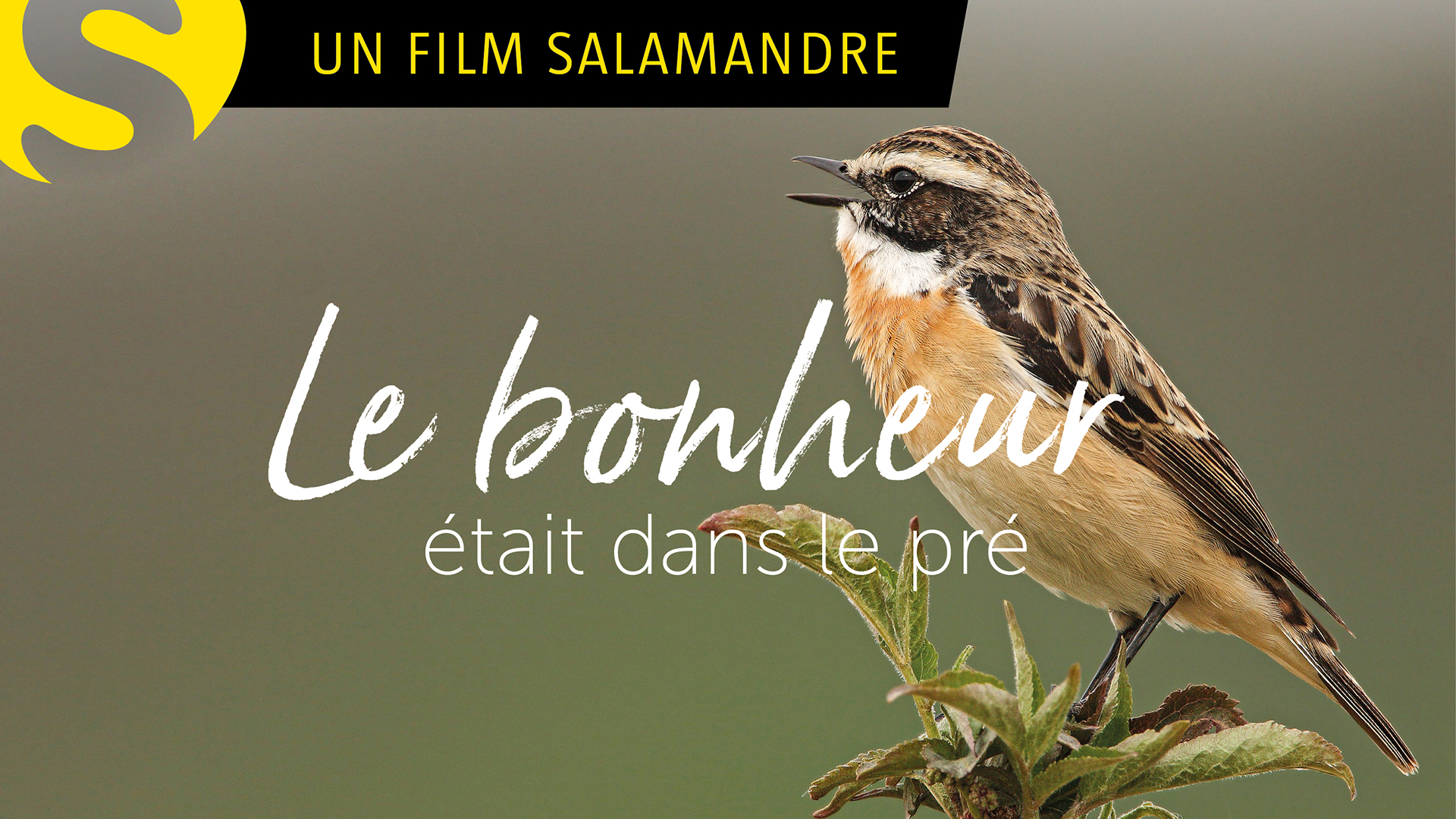 Le bonheur était dans le pré