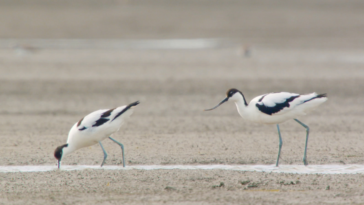 Paysages d’Europe - Episode 1