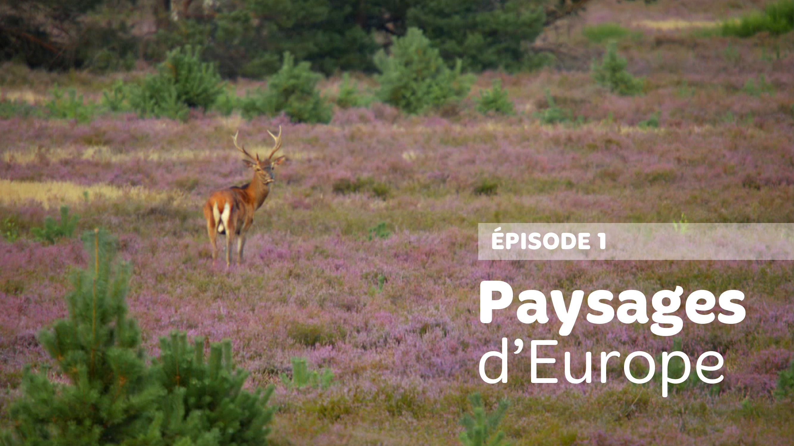 Paysages d’Europe - Episode 1