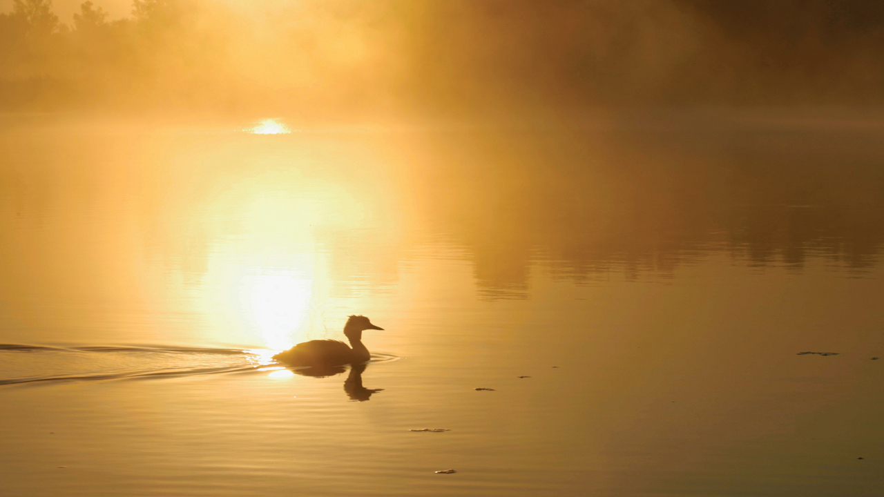 Dans l'oeil du delta