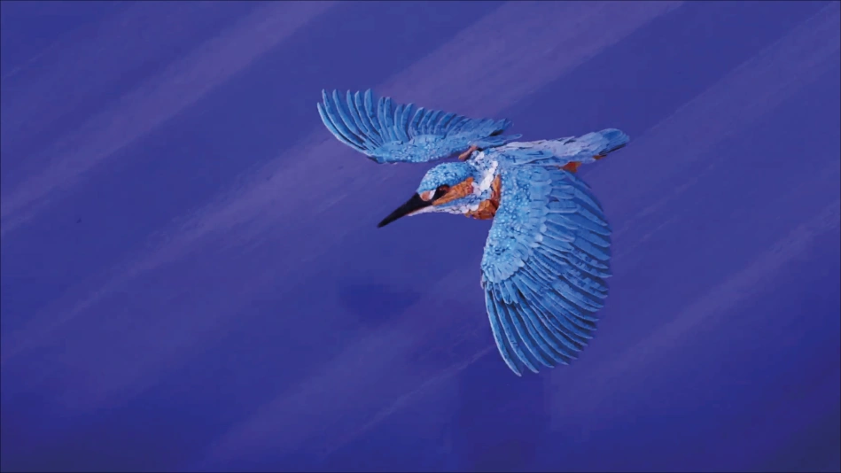 Bonjour le monde - Le martin-pêcheur