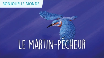 Bonjour le monde - Le martin-pêcheur