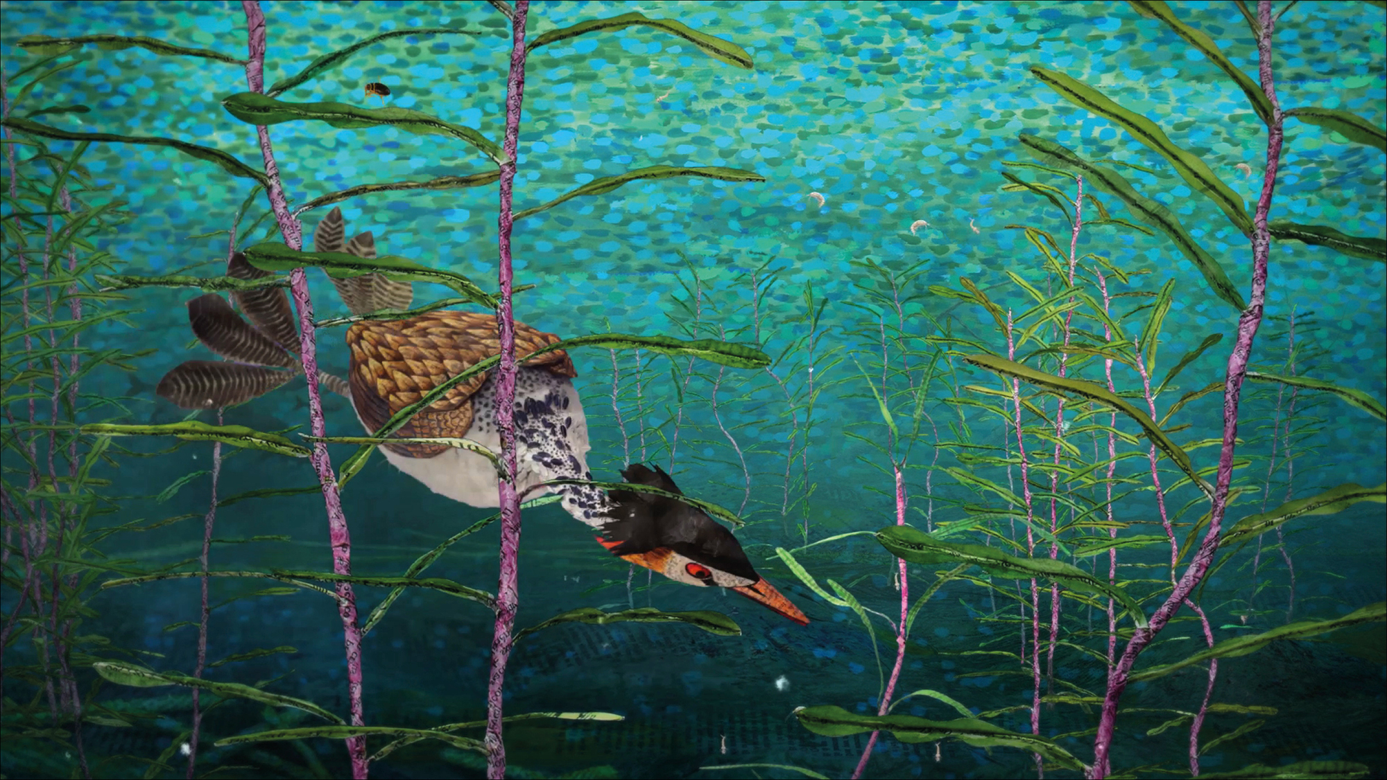 Bonjour le monde - Le Grèbe huppé