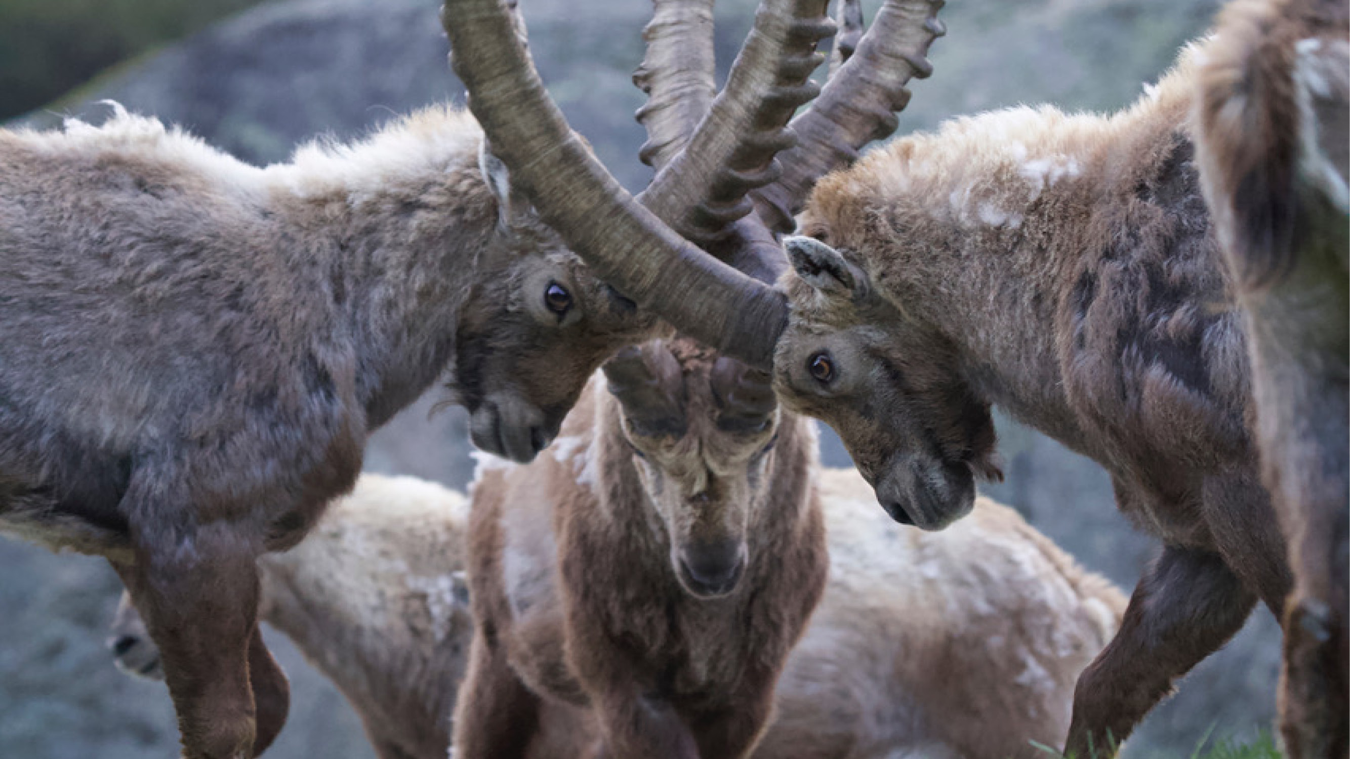 Le temps d’une vie