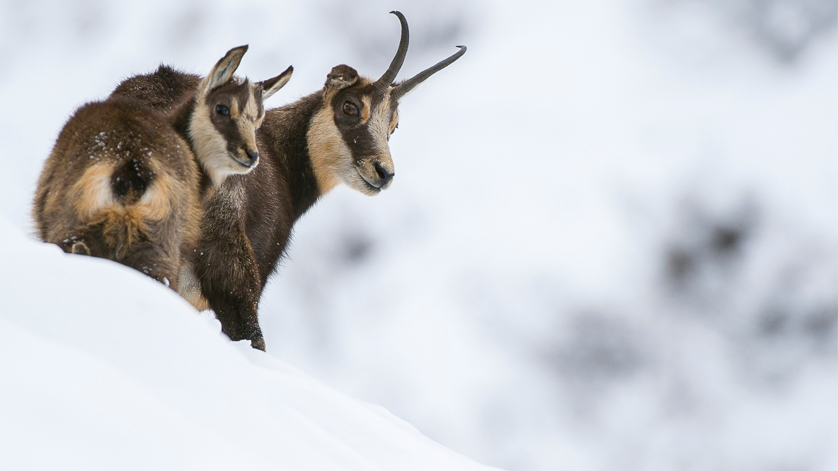 300 jours dans la montagne