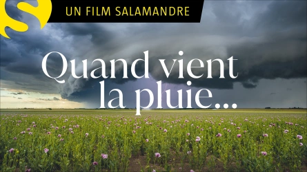 Quand vient la pluie