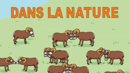Dans la nature