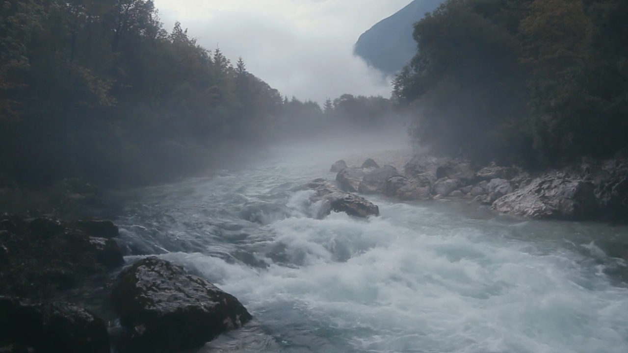 Slovénie, Terre des ours