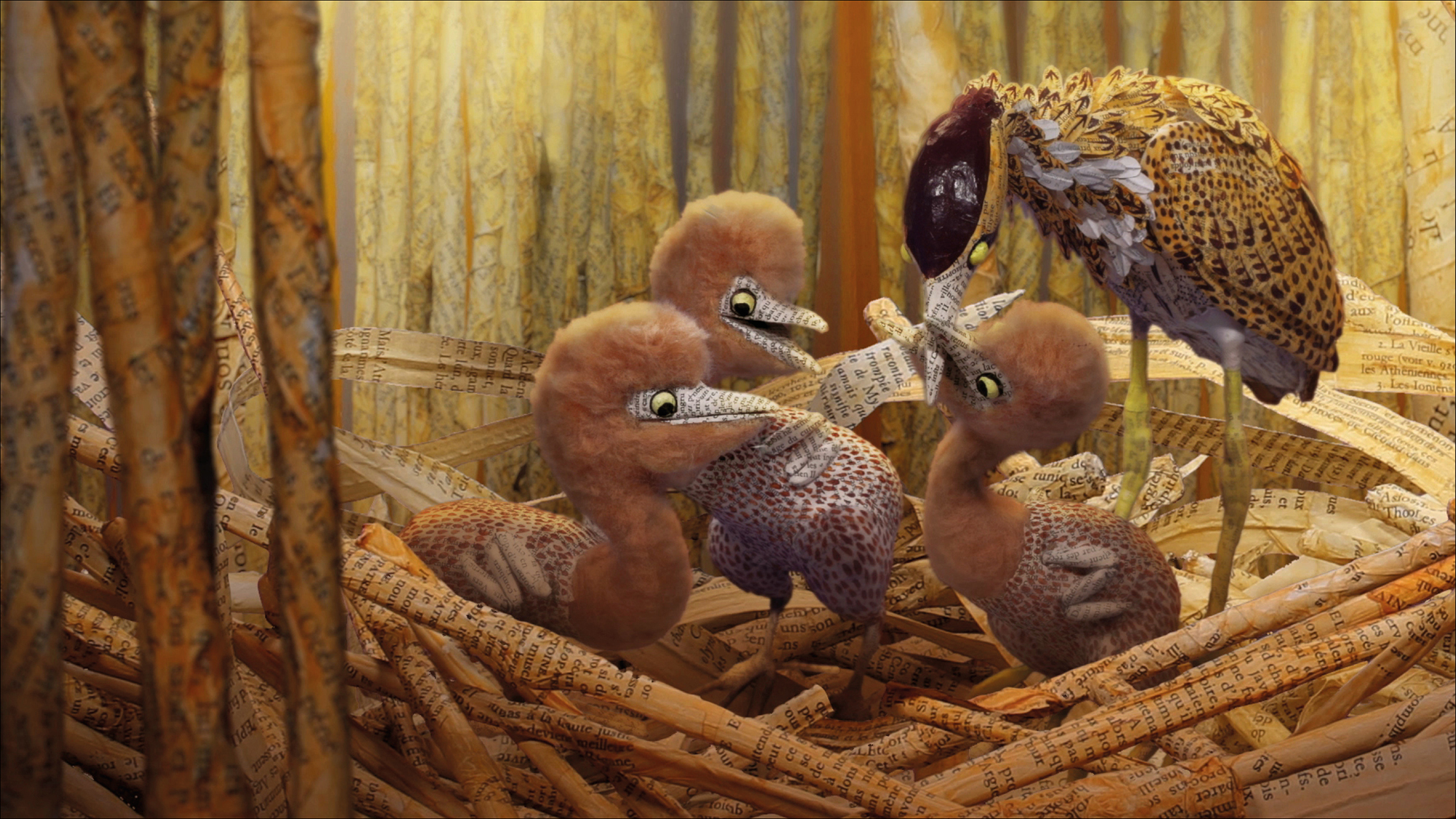 Bonjour le monde - Le butor