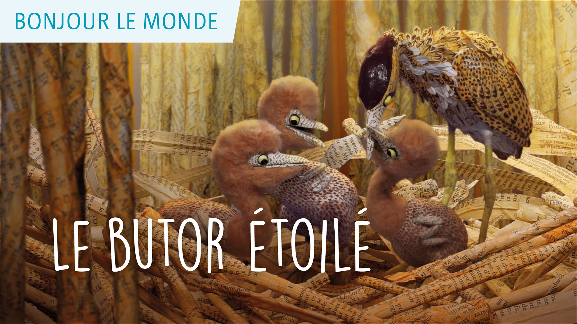 Bonjour le monde - Le butor