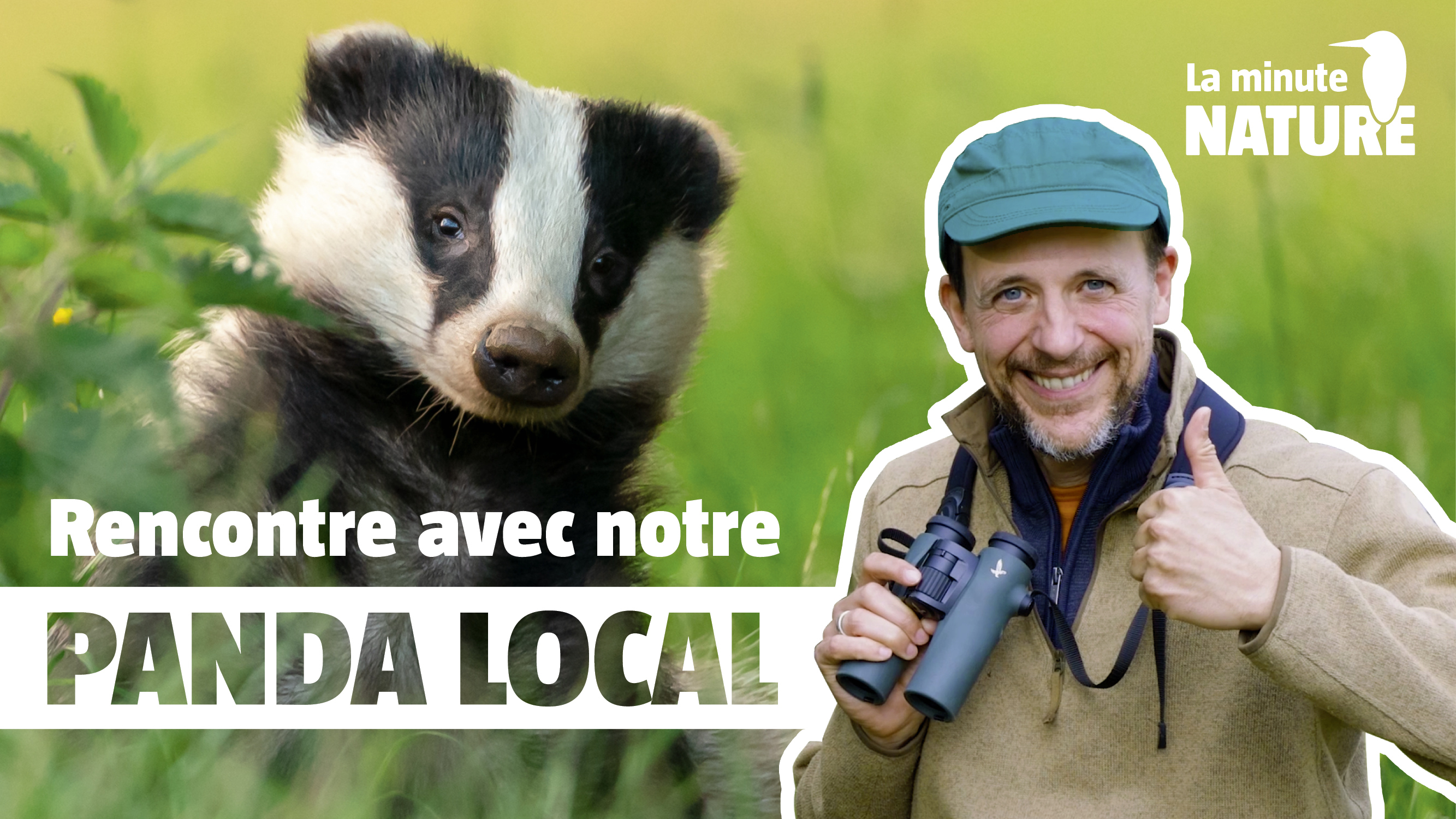 Sur les traces du blaireau