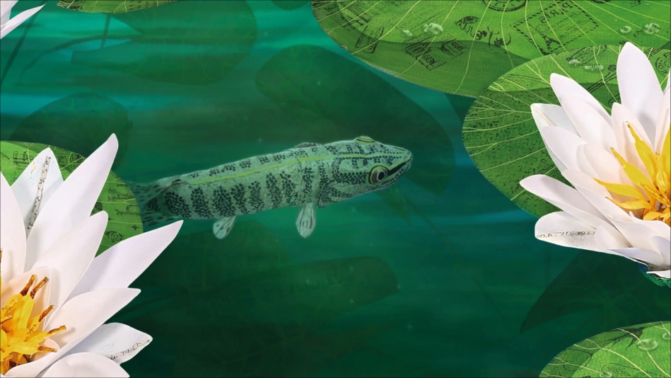 Bonjour le monde - Le brochet