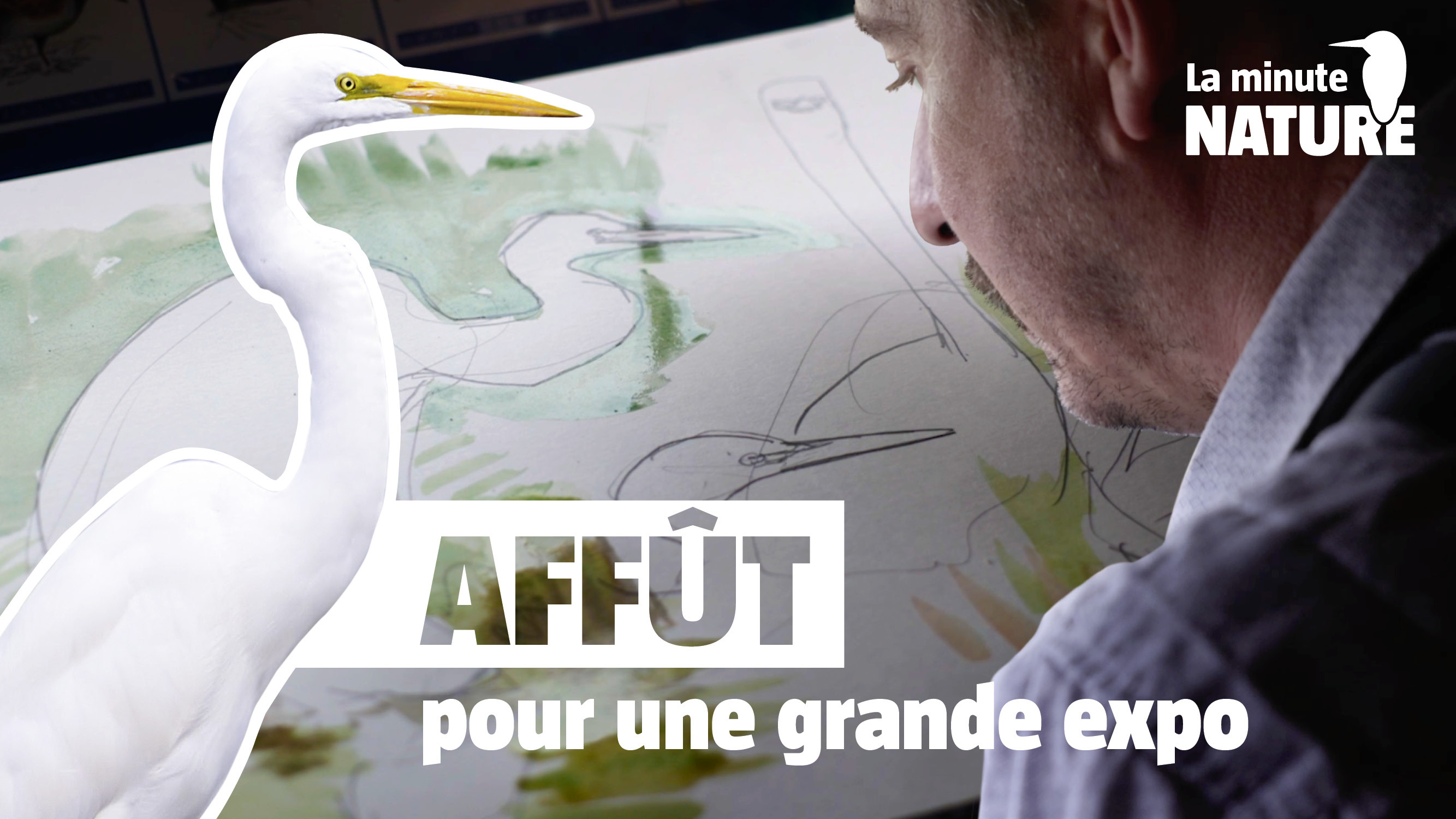 Les oiseaux migrateurs avec le peintre Nick Derry