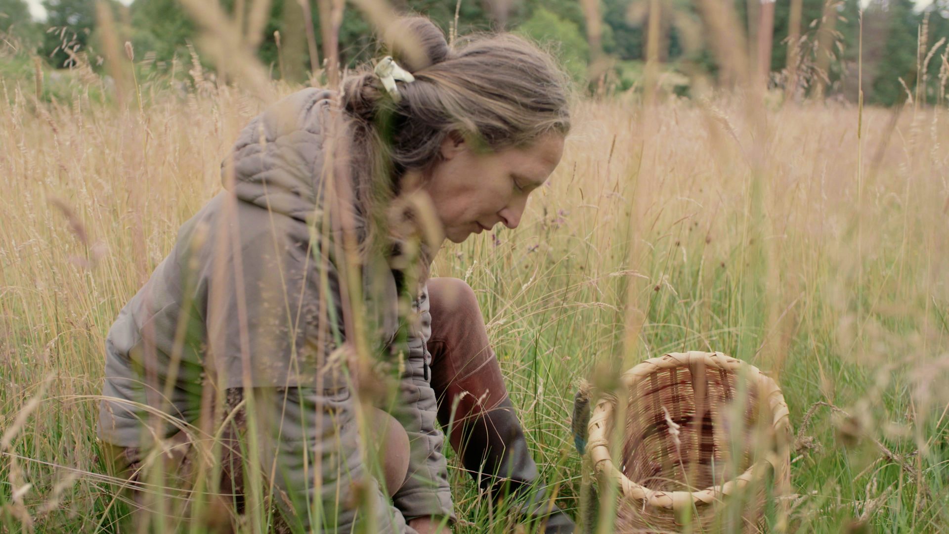 Cueilleur par nature