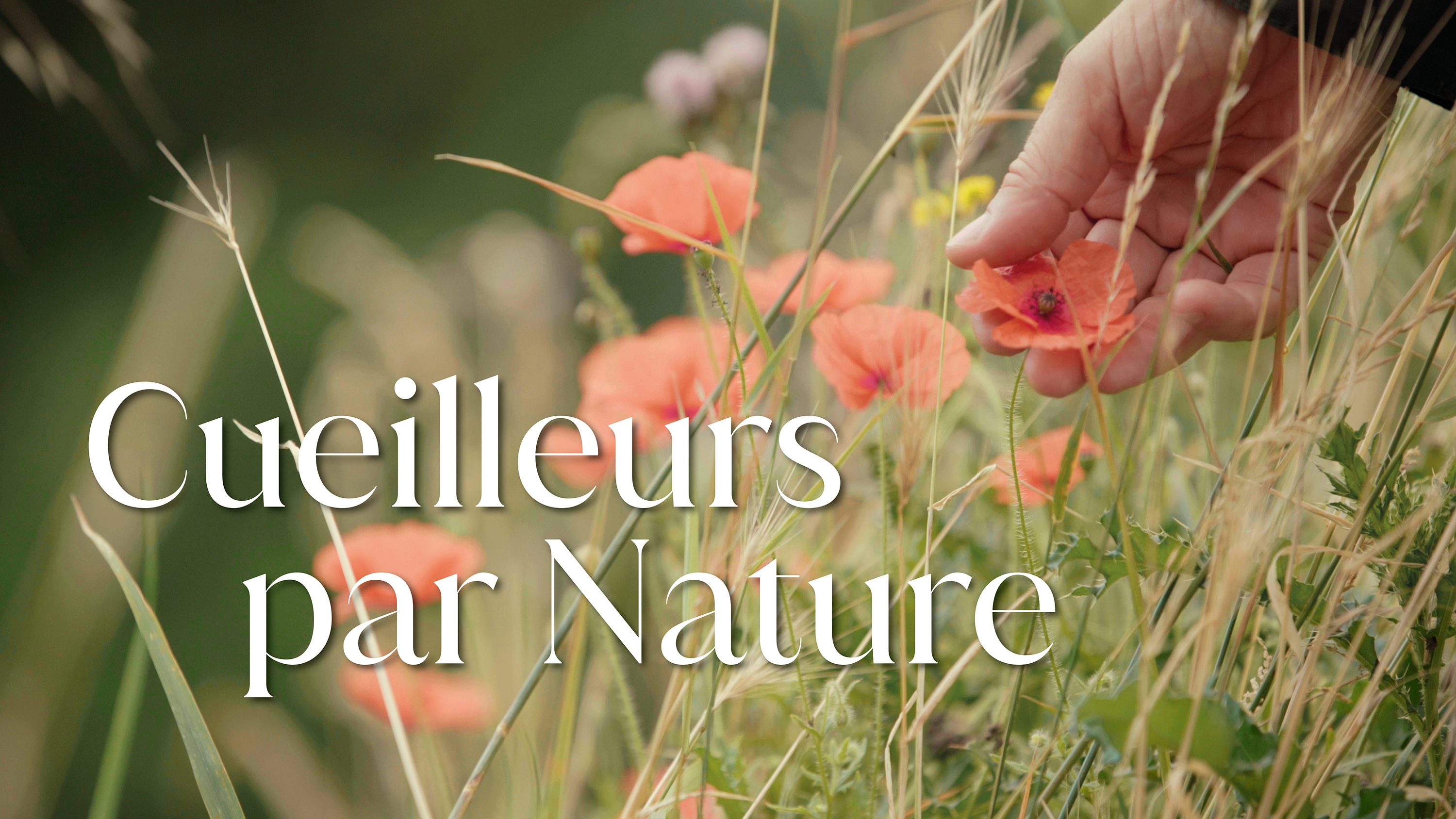 Cueilleur par nature