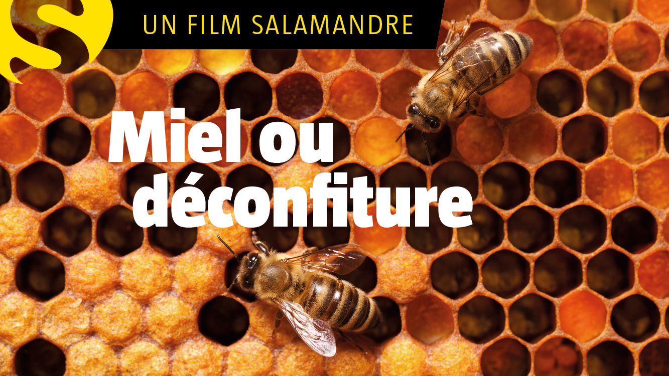 Miel ou déconfiture ?