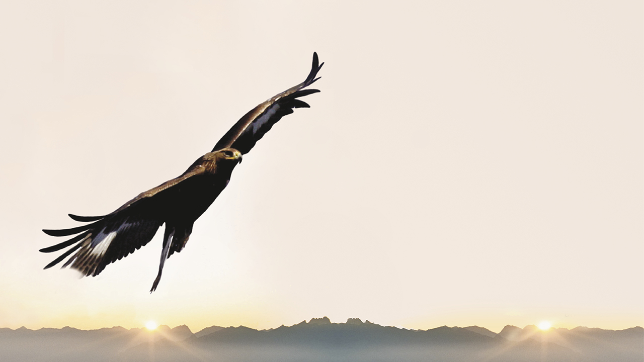 Vertige d'une rencontre