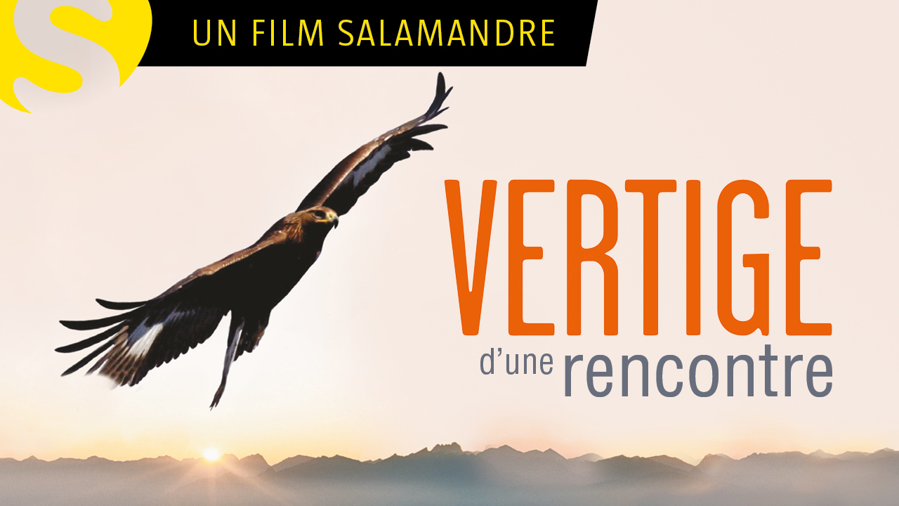 Vertige d'une rencontre