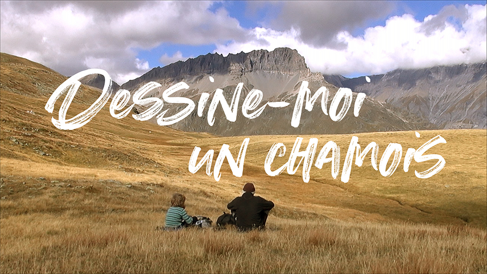 Dessine-moi un chamois