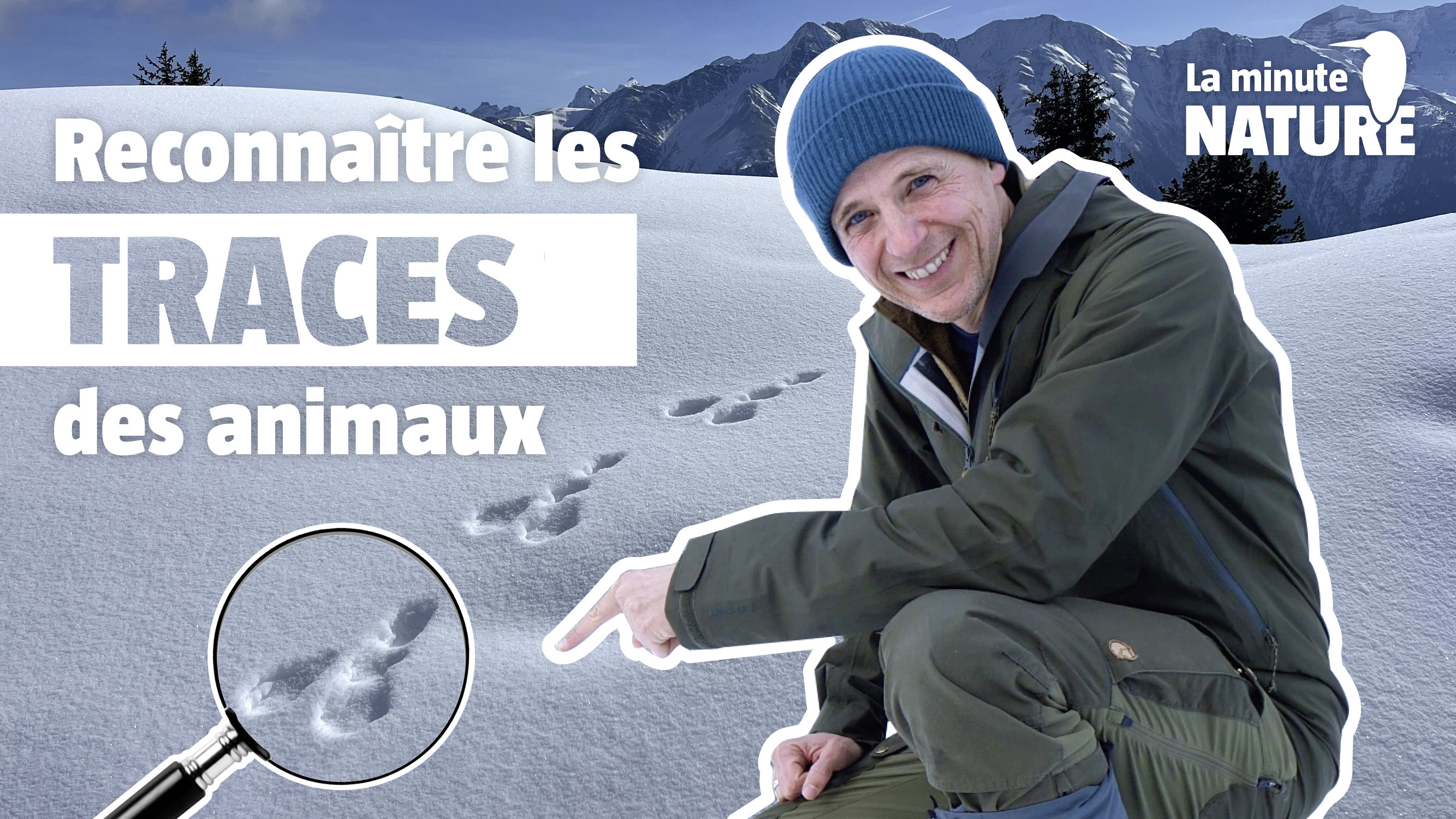 Comment reconnaître les traces des animaux ?