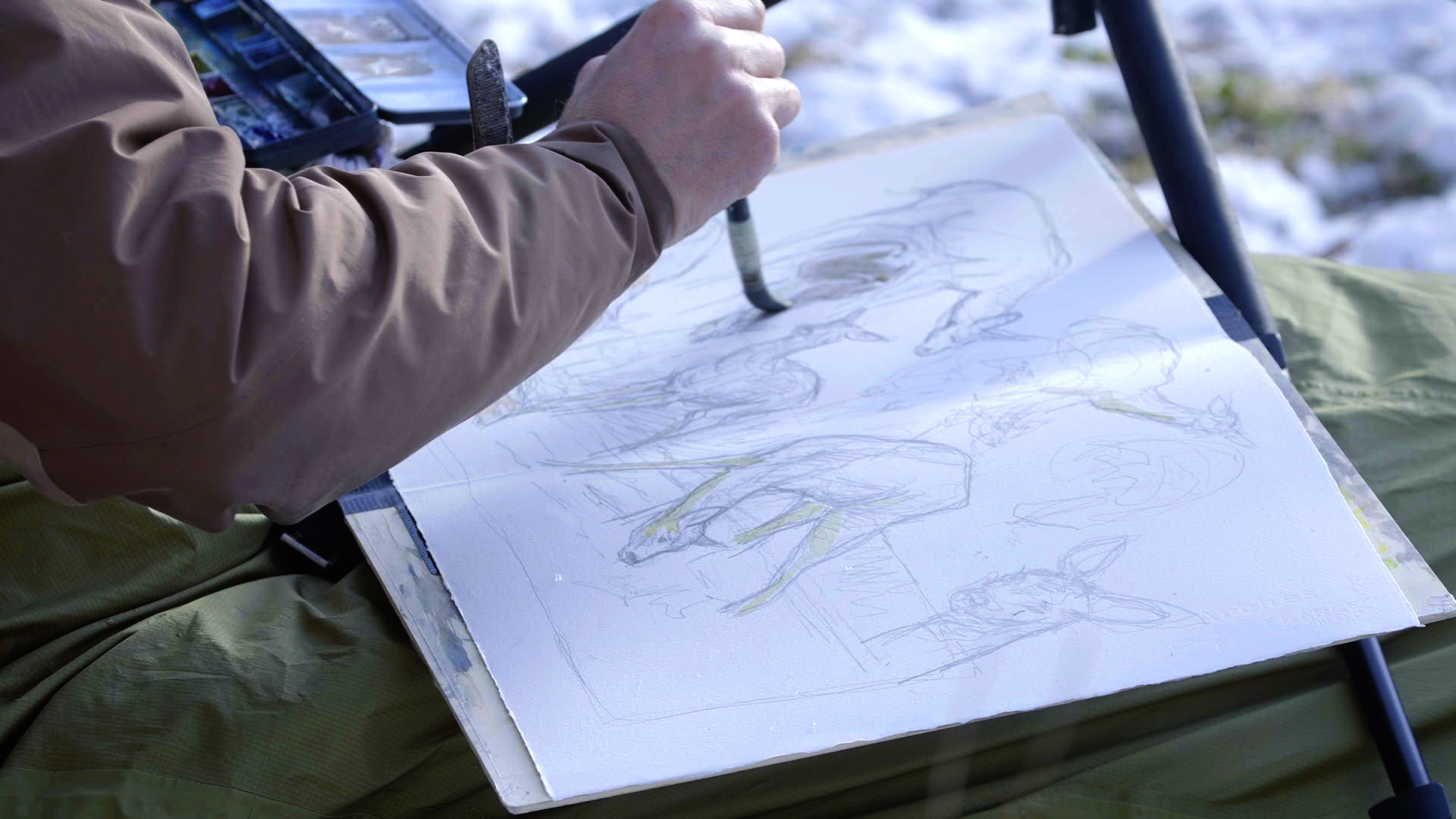 Dessinateur par nature - Laurent Willenegger