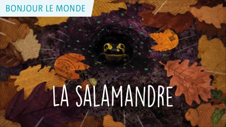 Bonjour le monde - La salamandre