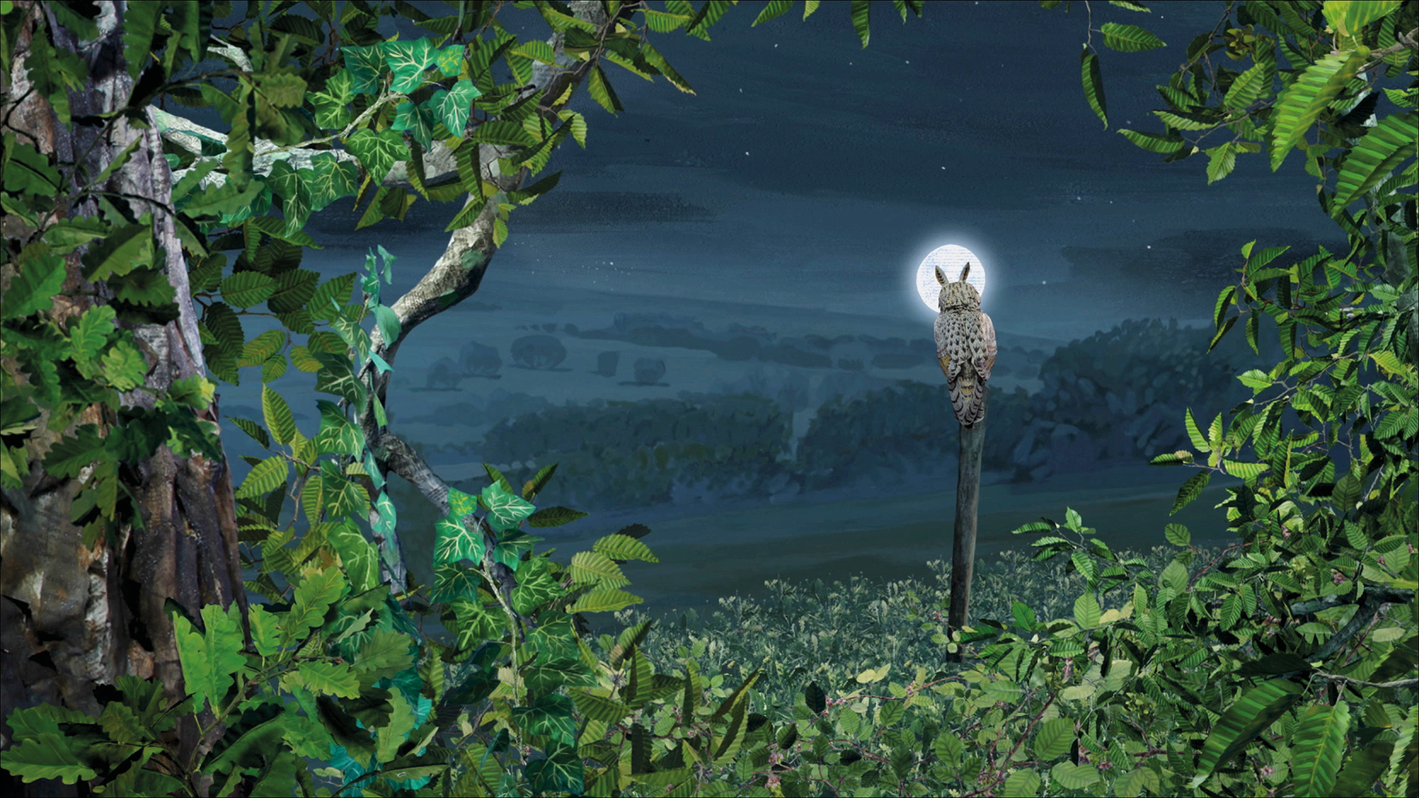 Bonjour le monde - Le hibou moyen-duc