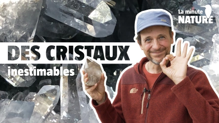 Le trésor le plus précieux des Alpes !