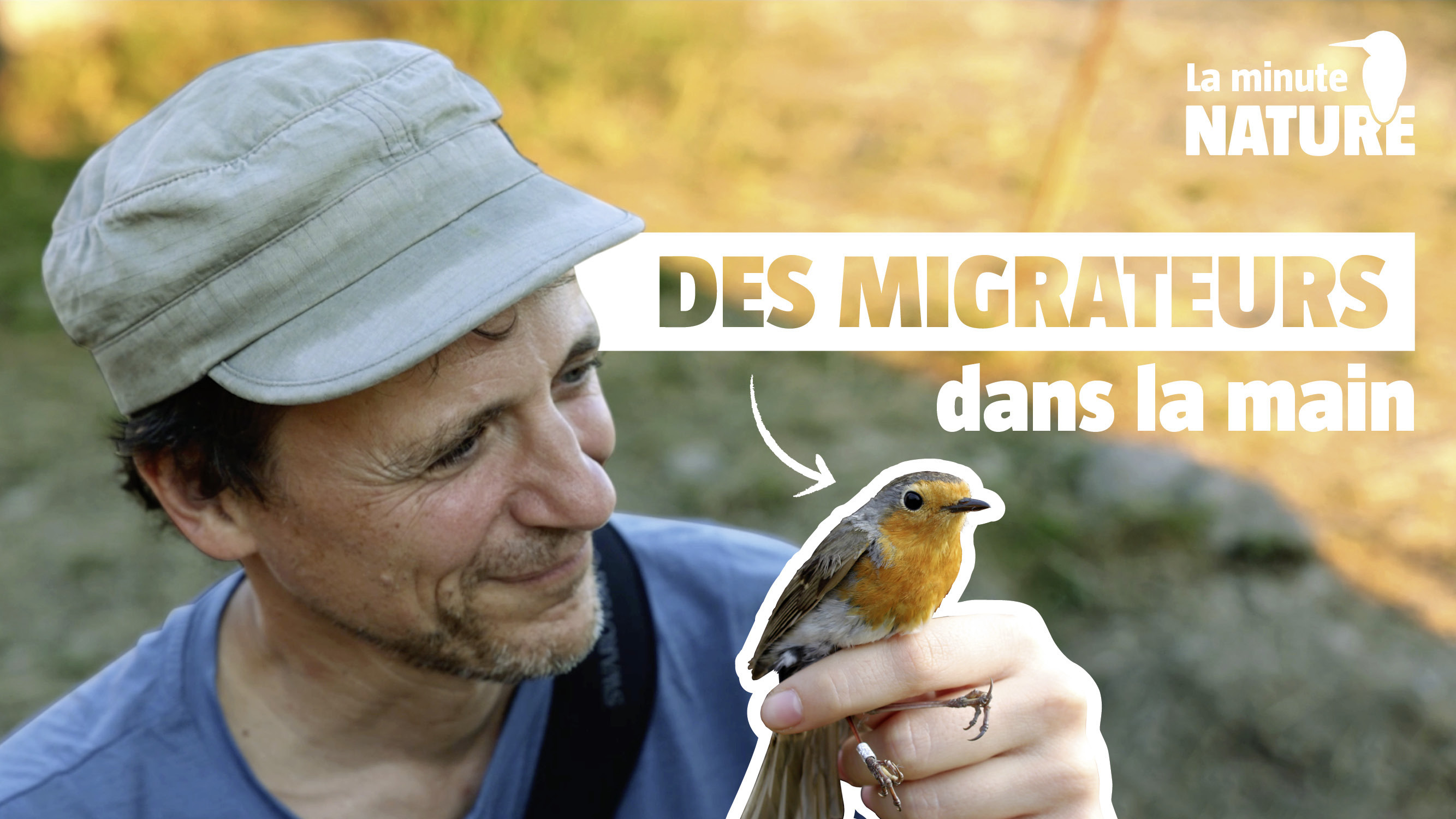 À la découverte du baguage des oiseaux migrateurs