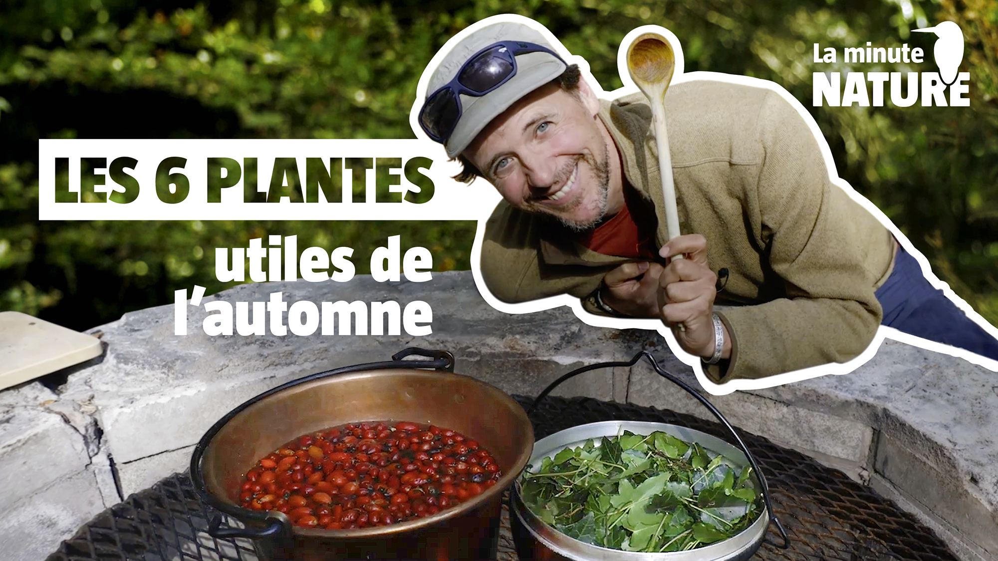 6 plantes sauvages utiles incontournables de l’automne