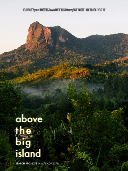 Above the Island