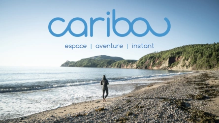 Caribou