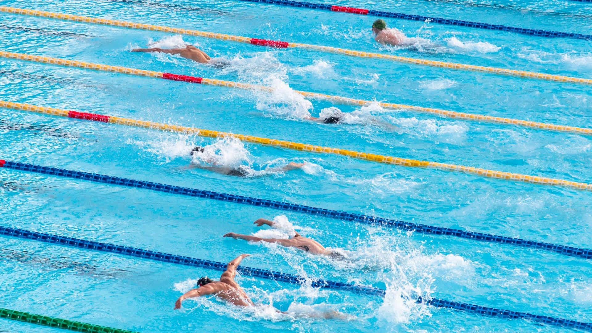 La natation en France