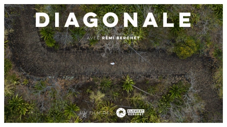 Diagonale