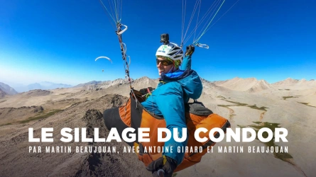Le sillage du condor