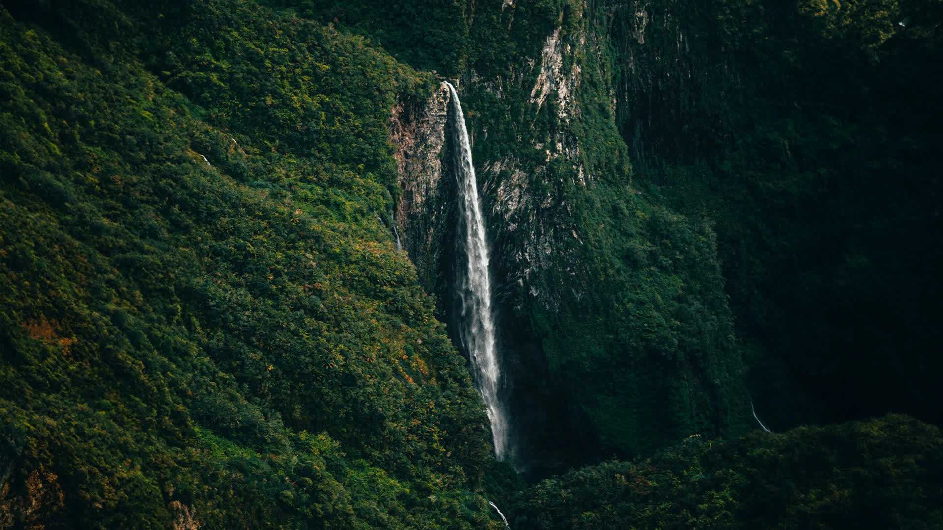 Les fous de la Diagonale