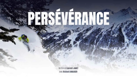 Perseverance