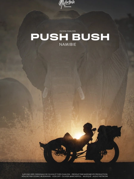 Push Bush