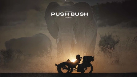 Push Bush