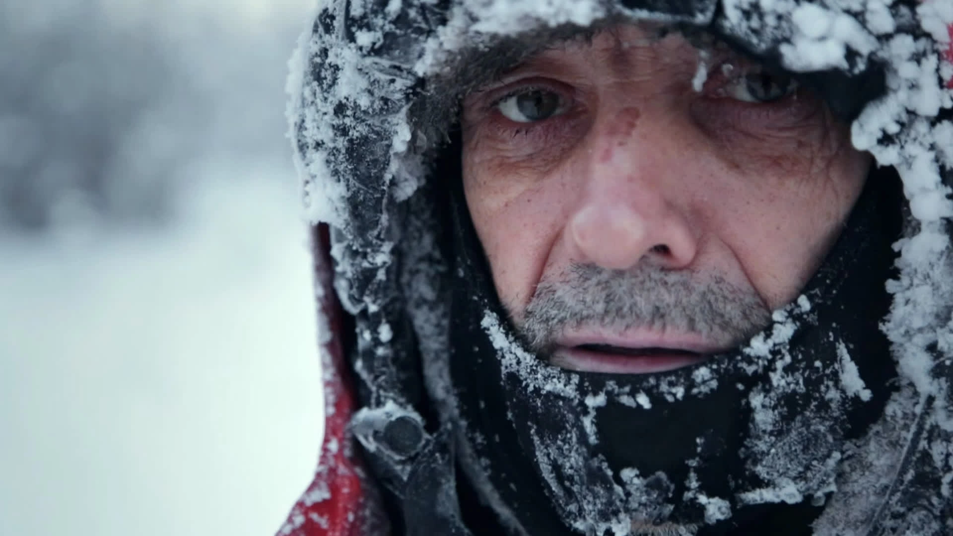 Une aventure Siberienne