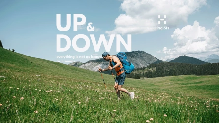 Up & Down