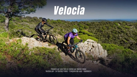 Velocia