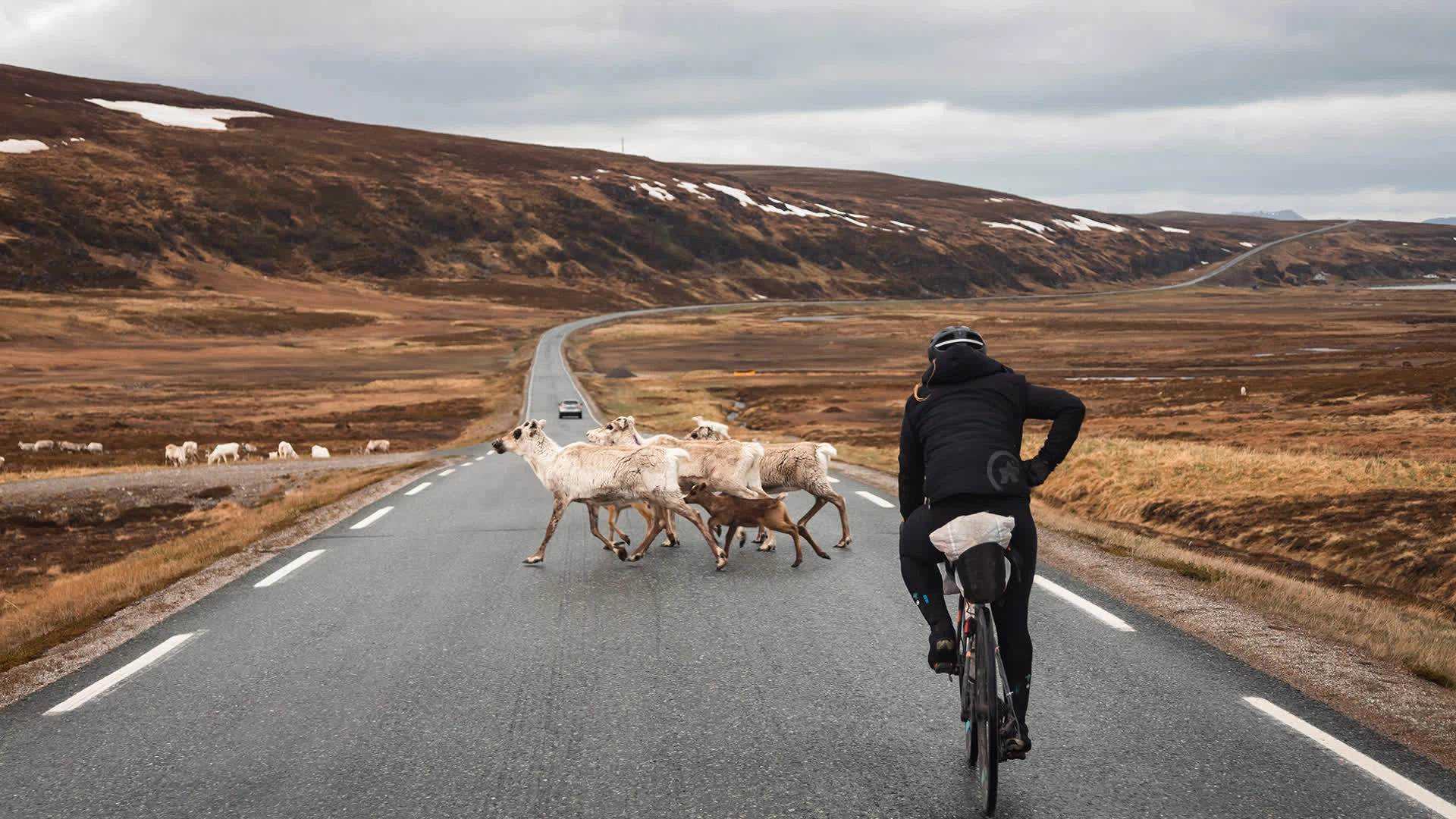 La route de l'audace